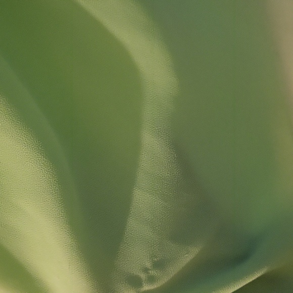 Like New! Beautiful Mint Green blouse - Picture 5 of 5